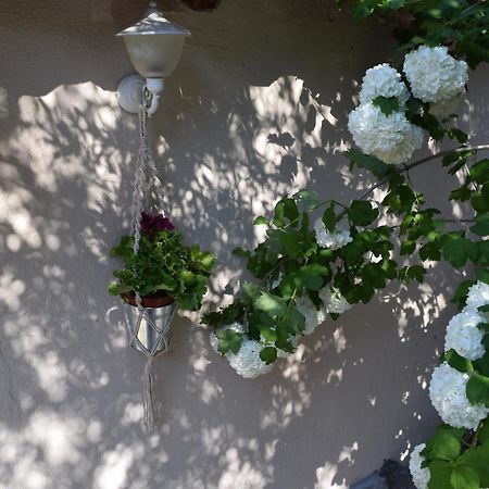 Rina'S House Villa กาลัมปากา ภายนอก รูปภาพ